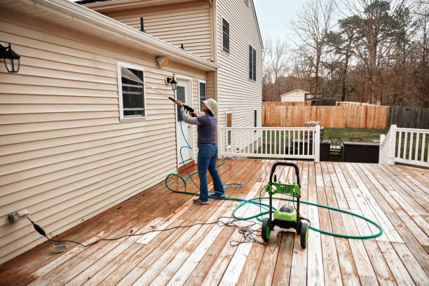 Best Pressure Washing Near Me  in Vaeboro, NC